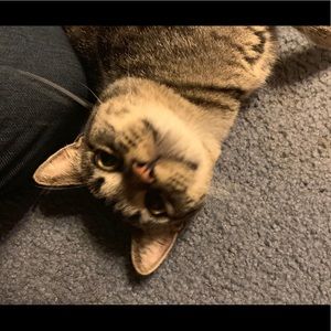 Meet your Posher, Danaea